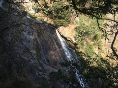 -东天目山风景区