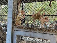 -长白岛森林公园