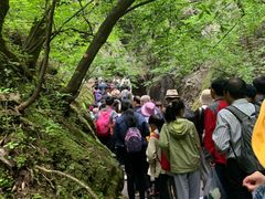 -牛背梁国家森林公园