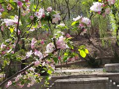 -元大都城垣遗址公园