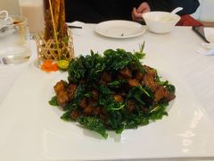 新西兰小羊牌-东湖177艺术餐厅 · 东坡院子