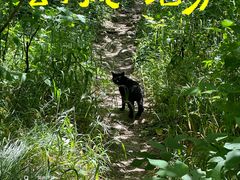 -南京市江宁方山