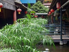 -鹅城