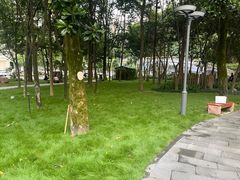 -成都市活水公园