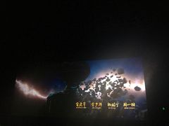 -AMG海上明珠影城(上海环球港RealDCinema店)