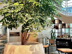 -GOTLOT COFFEE&KITCHEN角落厨房NOOK店