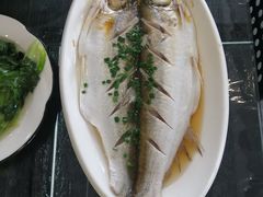 清蒸白鱼-蟹天蟹地农家菜·阳澄湖大闸蟹(浅水湾店)