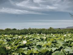 -处女泉风景名胜区