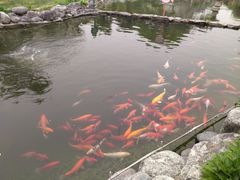 -瑞博尔花园酒店(太周创新产业园店)