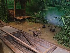 -中国湿地博物馆
