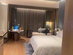 -深圳国际会展中心希尔顿酒店(前海华发冰雪世界店)