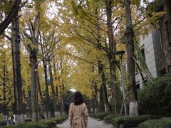 -百林公园-两江幸福广场