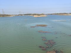 -南湖湿地公园