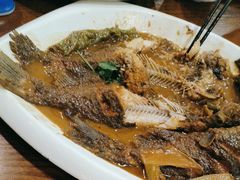 -邵年鸽(杨庄店)