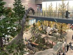 -湖南省地质博物馆