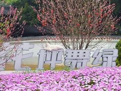-荔湾湖公园