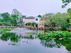 -苏州公园(双塔街道)