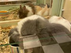 -龙猫仔乐园(惠福东路店)