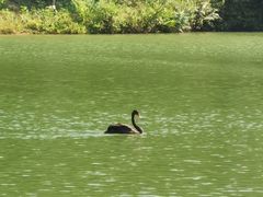 -广州白江湖森林公园