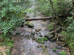 -海南热带雨林国家公园吊罗山景区