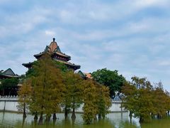 -顺峰山公园