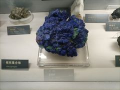 -中国地质博物馆