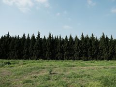 -汉长安城未央宫国家考古遗址公园