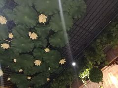 大堂-福慧慈缘素食餐厅(王府井店)
