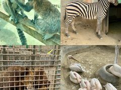 -水上乐园·欢乐世界