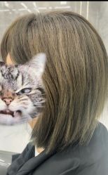-5M HAIR SALON