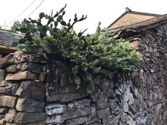 -许家山