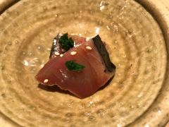 -薄野鮨金