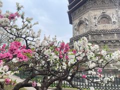 -玲珑塔公园