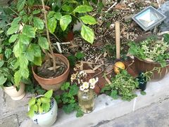 -时光花园(白鹭洲店)