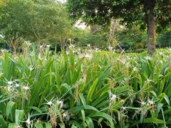 -天悦阁海景酒廊