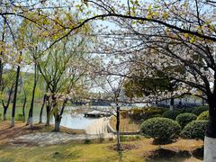 -长广溪湿地公园
