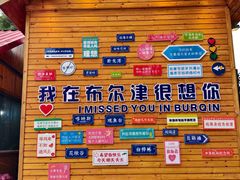 -布尔津河堤夜市