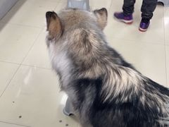 -汪说·狗咖(旺城大厦店)