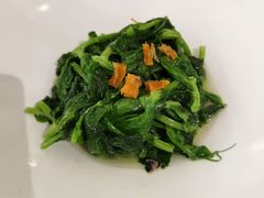 瑶柱豌豆尖-肆月河豚·新淮扬(金融街店)