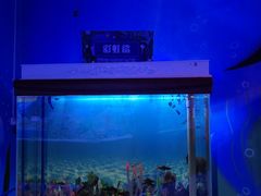 -白鹿仓冰雪海洋世界