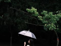 -青龙湖公园