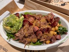 -油梨树 AVOCADO TREE(亮马桥店)
