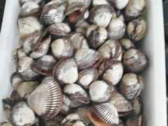 -宾朋海鲜特色美食餐厅·纯手工鲅鱼水饺(兴海路店)