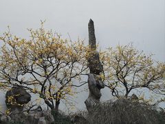-太平天国历史博物馆(瞻园)