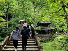 -楠溪江石桅岩