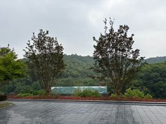 -湘湖逍遥庄园·水漾中餐厅