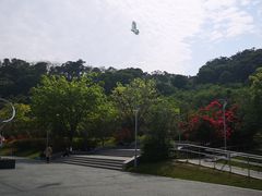 -飞凤山奥体公园
