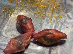 -齐市马佳地摊烤肉