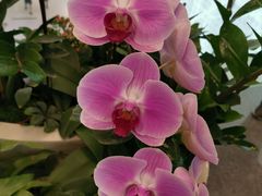 -中央广播电视总台(光华路办公区)