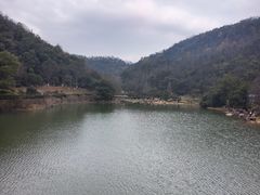 -桃花岭景区
